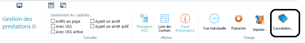 consultation Gestion des IJSS.png