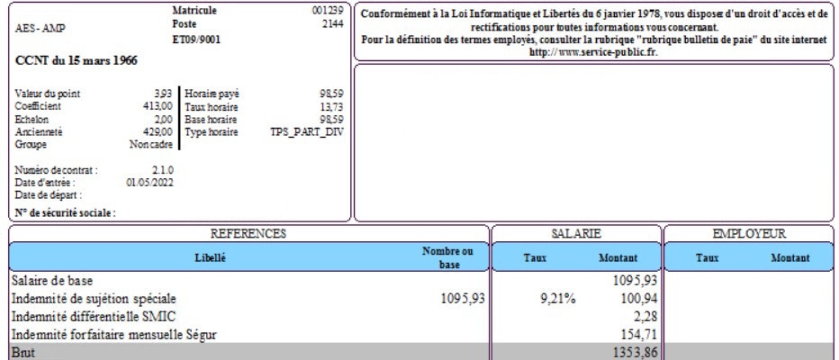 Capture d’écran Exemple4 - AES internat avec ancienneté à temps partiel (Bulletin).jpg